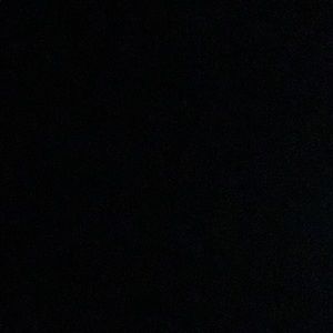 Meet your Posher, Anne